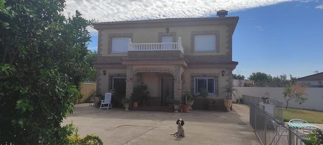 Foto 2 de Chalet en venta en calle La Palmera de 6 habitaciones con terraza y piscina