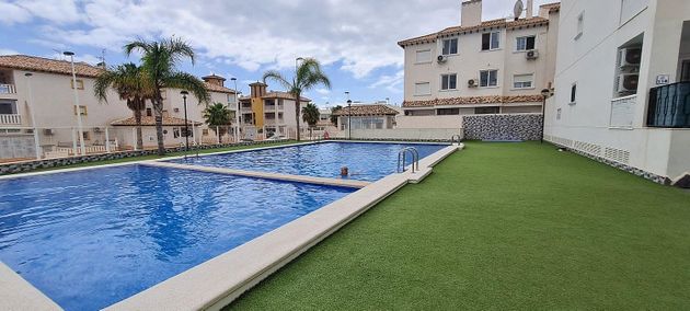 Foto 2 de Pis en venda a La Marina de 2 habitacions amb terrassa i piscina