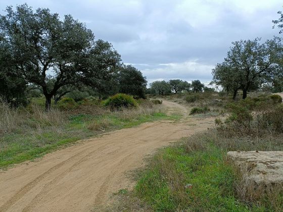 Foto 2 de Venta de terreno en Castilblanco de los Arroyos de 16000 m²