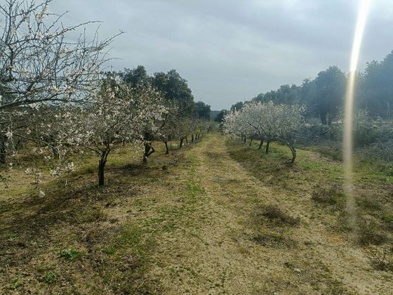 Foto 2 de Venta de terreno en Castilblanco de los Arroyos de 36000 m²