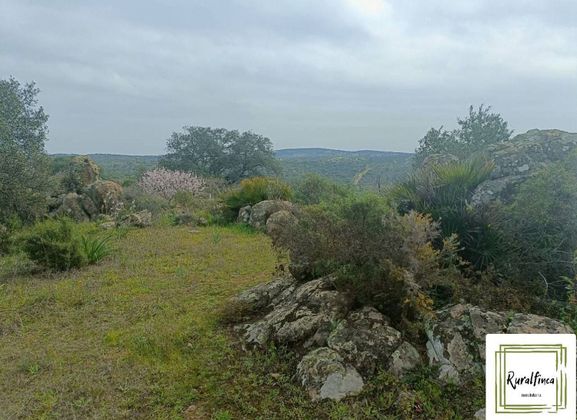 Foto 1 de Venta de terreno en Castilblanco de los Arroyos de 36000 m²