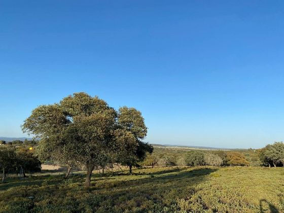 Foto 2 de Venta de terreno en Castilblanco de los Arroyos de 7716 m²