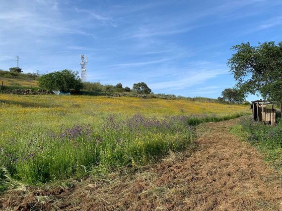 Foto 2 de Venta de terreno en Castilblanco de los Arroyos de 8200 m²