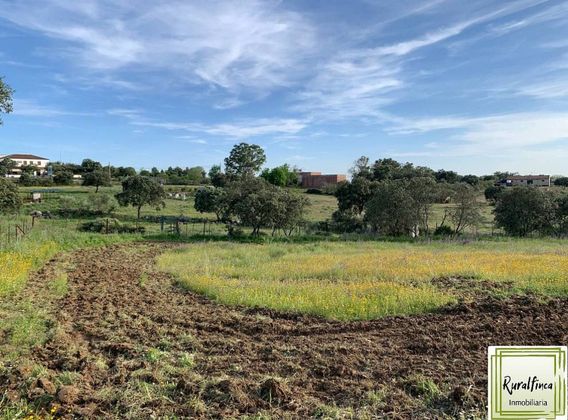 Foto 1 de Venta de terreno en Castilblanco de los Arroyos de 8200 m²