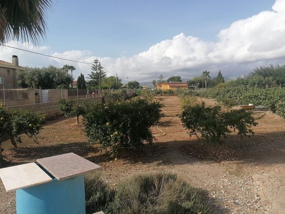 Foto 1 de Terreny en venda a Zona Papa Luna - Platja del Gurugú de 2030 m²