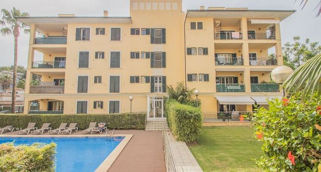 Foto 1 de Àtic en venda a Peguera de 3 habitacions amb terrassa i piscina