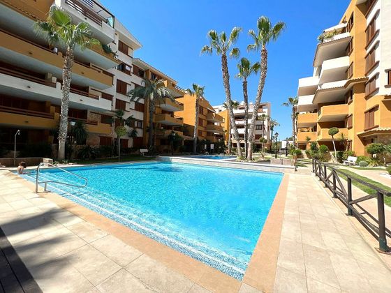 Foto 1 de Piso en alquiler en Playa Flamenca - Punta Prima de 2 habitaciones con piscina y garaje