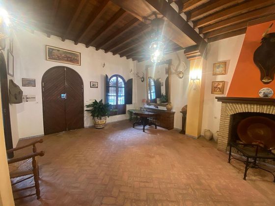 Foto 2 de Casa en venda a El Rocío de 8 habitacions amb terrassa i aire acondicionat