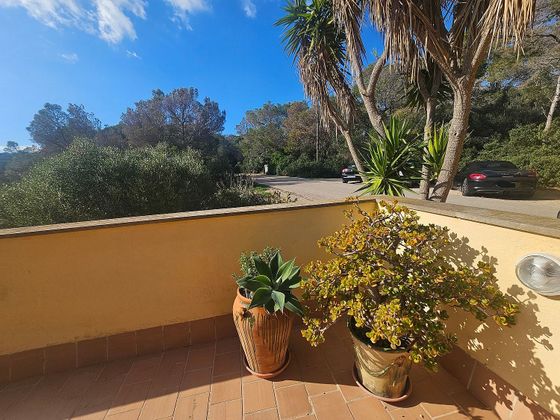 Foto 1 de Pis en venda a Sol de Mallorca de 2 habitacions amb terrassa i balcó