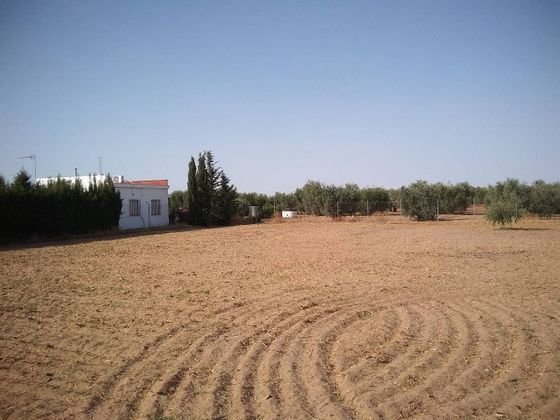 Foto 2 de Venta de terreno en calle El Monje de 2000 m²
