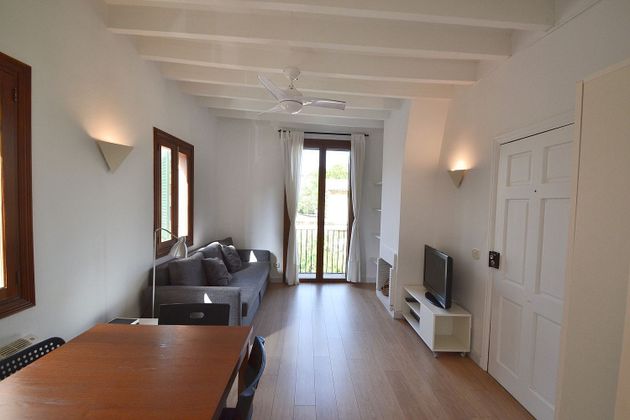 Foto 2 de Piso en alquiler en La Llotja - Sant Jaume de 1 habitación con muebles y balcón