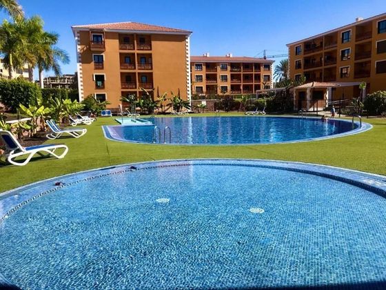 Foto 1 de Venta de piso en Palm - Mar de 1 habitación con terraza y piscina