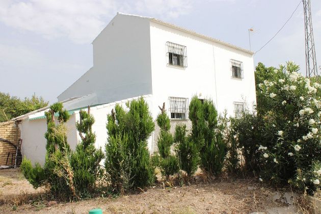 Foto 1 de Venta de chalet en Algodonales de 3 habitaciones con terraza y jardín