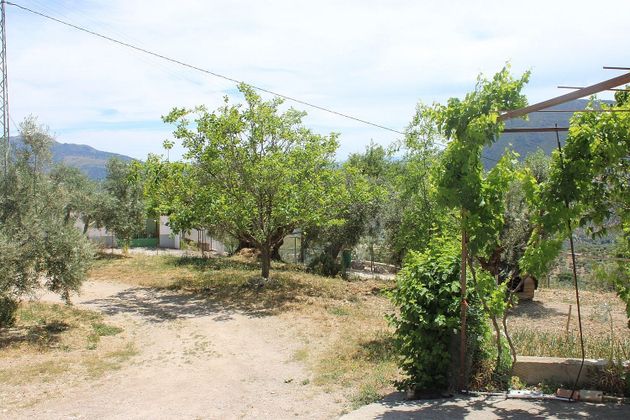 Foto 2 de Xalet en venda a Zahara de 3 habitacions amb terrassa i jardí