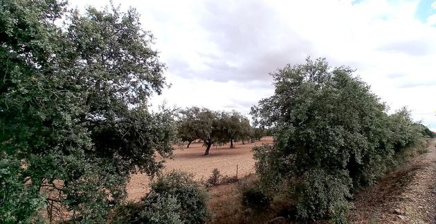 Foto 1 de Venta de terreno en Campillo de Llerena de 1800000 m²