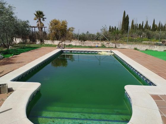 Foto 1 de Venta de casa rural en Gójar de 1 habitación con terraza y piscina