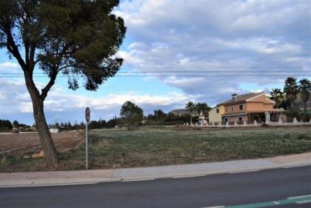 Foto 1 de Venta de terreno en La Hoya-Almendricos-Purias de 5590 m²