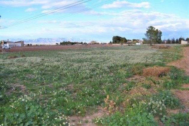 Foto 2 de Venta de terreno en La Hoya-Almendricos-Purias de 5590 m²