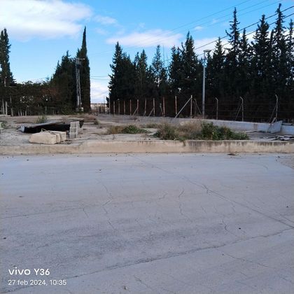 Foto 2 de Alquiler de terreno en Sangonera la Verde de 9000 m²