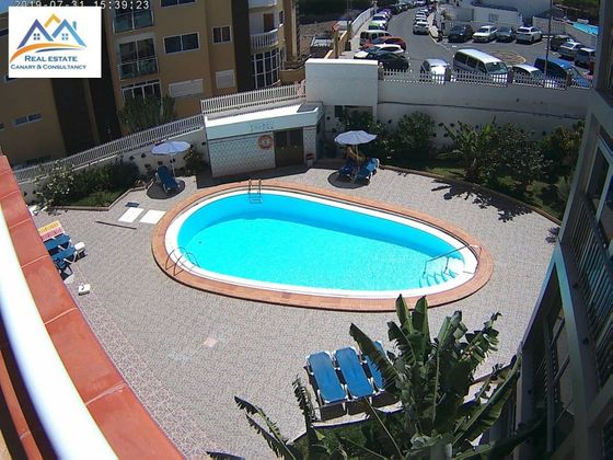 Foto 2 de Alquiler de estudio en San Agustín - Bahía Feliz - Playa del Águila de 1 habitación con terraza y piscina