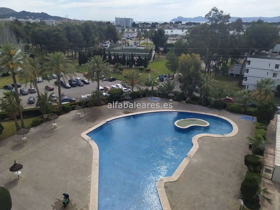 Foto 1 de Piso en venta en Port d'Alcúdia - Platja d'Alcúdia de 1 habitación con terraza y piscina