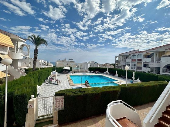 Foto 1 de Pis en venda a Torrelamata - La Mata de 1 habitació amb piscina i balcó