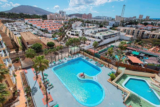 Foto 2 de Pis en venda a Los Cristianos - Playa de las Américas de 1 habitació amb terrassa i piscina