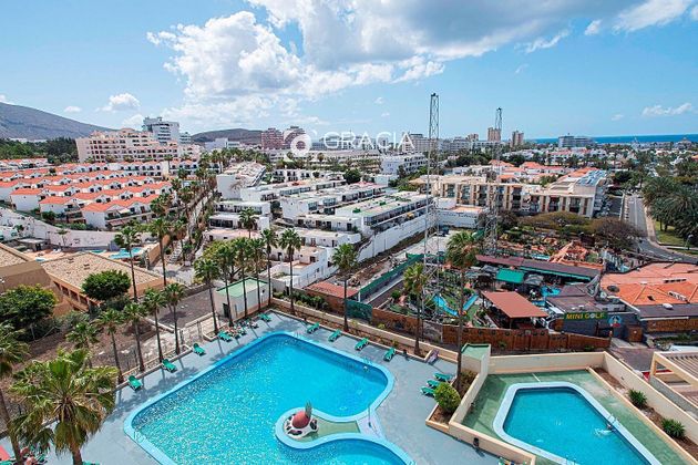 Foto 1 de Venta de piso en Los Cristianos - Playa de las Américas de 1 habitación con terraza y piscina