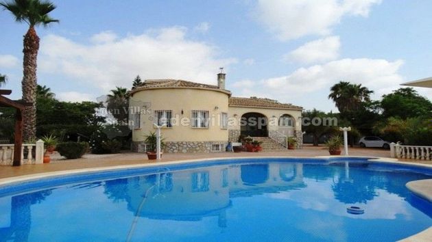 Foto 2 de Venta de chalet en Catral de 4 habitaciones con terraza y piscina