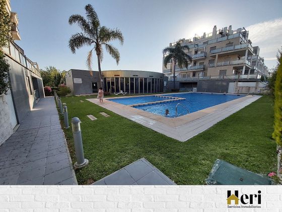 Foto 1 de Dúplex en venda a Oliva Nova de 2 habitacions amb terrassa i piscina