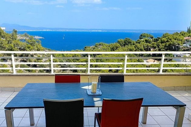 Foto 1 de Àtic en venda a Calvià de 3 habitacions amb terrassa i piscina