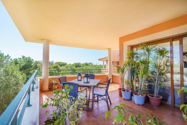 Foto 2 de Àtic en venda a Maioris-Puig de Ros de 4 habitacions amb terrassa i piscina