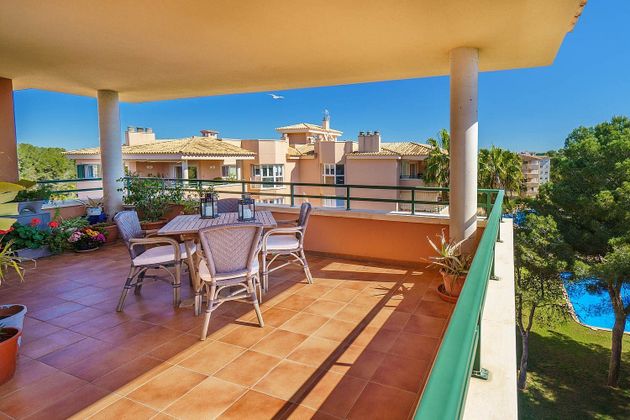 Foto 1 de Àtic en venda a Maioris-Puig de Ros de 4 habitacions amb terrassa i piscina