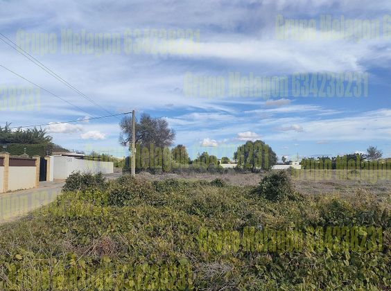 Foto 1 de Venta de terreno en Las Lagunas - Campano de 500 m²
