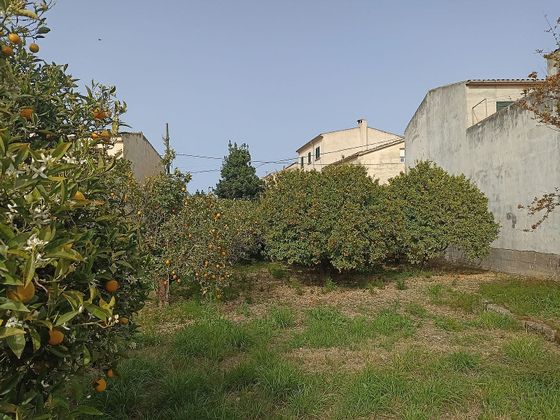 Foto 2 de Venta de terreno en Montuïri de 537 m²
