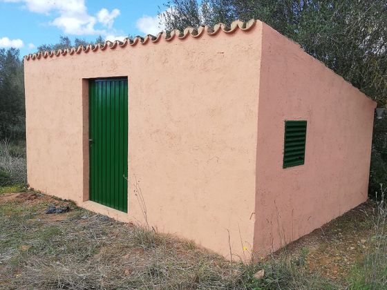 Foto 2 de Casa rural en venda a Campos de 1 habitació i 18 m²