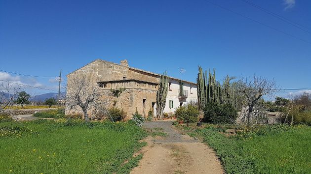 Foto 1 de Venta de casa rural en Son Cladera - El Vivero de 6 habitaciones con terraza y piscina