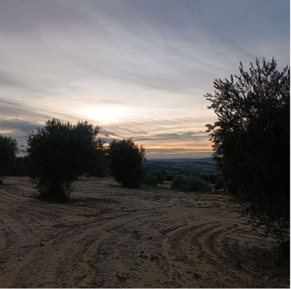 Foto 1 de Terreno en venta en Chinchón de 1500 m²