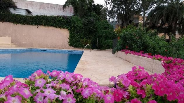 Foto 1 de Àtic en venda a calle Las Margaritas de 1 habitació amb terrassa i piscina