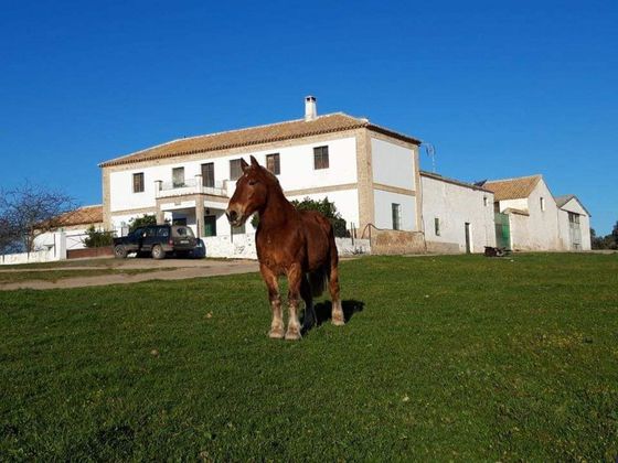 Foto 1 de Casa rural en venta en Andújar de 10 habitaciones con terraza y jardín