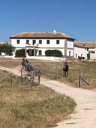 Foto 2 de Casa rural en venta en Andújar de 10 habitaciones con terraza y jardín