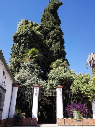 Foto 2 de Casa adossada en venda a calle Ordoñez Rincón de 6 habitacions amb jardí