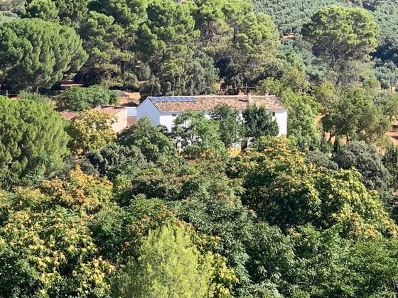 Foto 1 de Venta de casa rural en parque Entorno Natural Sierra de Cazorla y Segura de 10 habitaciones con terraza y piscina