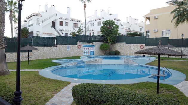 Foto 1 de Alquiler de piso en Campos de Golf - Villa Martin - Los Dolses de 2 habitaciones con piscina y muebles