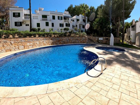 Foto 2 de Alquiler de dúplex en Campos de Golf - Villa Martin - Los Dolses de 3 habitaciones con terraza y piscina