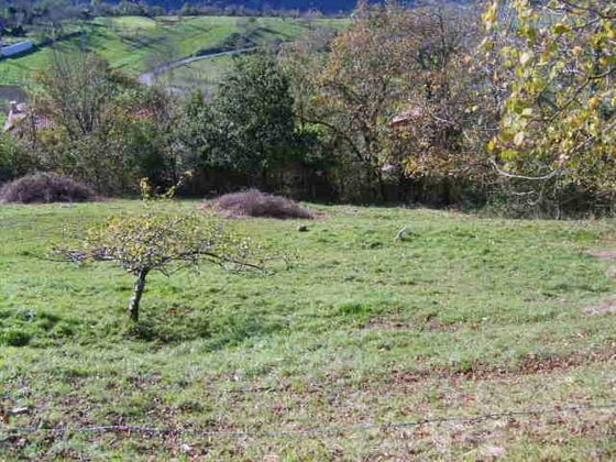 Foto 1 de Venta de terreno en Cangas de Onís de 1200 m²