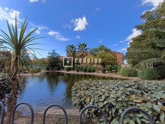 Venta De Piso En Veredillas Juncal Zarzuela Torrej n De Ardoz venta-de-piso-en-veredillas-juncal-zarzuela-torrej-n-de-ardoz