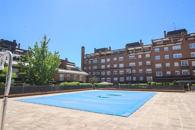 Foto 2 de Pis en venda a Rosa Luxemburgo de 4 habitacions amb terrassa i piscina