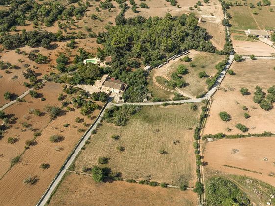 Foto 1 de Venta de terreno en Felanitx de 15000 m²