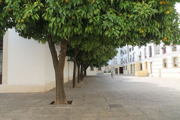 Foto 2 de Pis en venda a Centro - Jerez de la Frontera de 3 habitacions amb aire acondicionat i calefacció